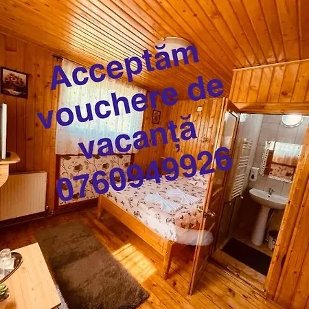 Maria Guest house Dimbovicioara